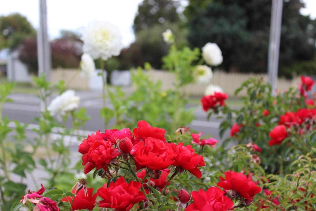 Bram'S Bach Taupo Exterior foto